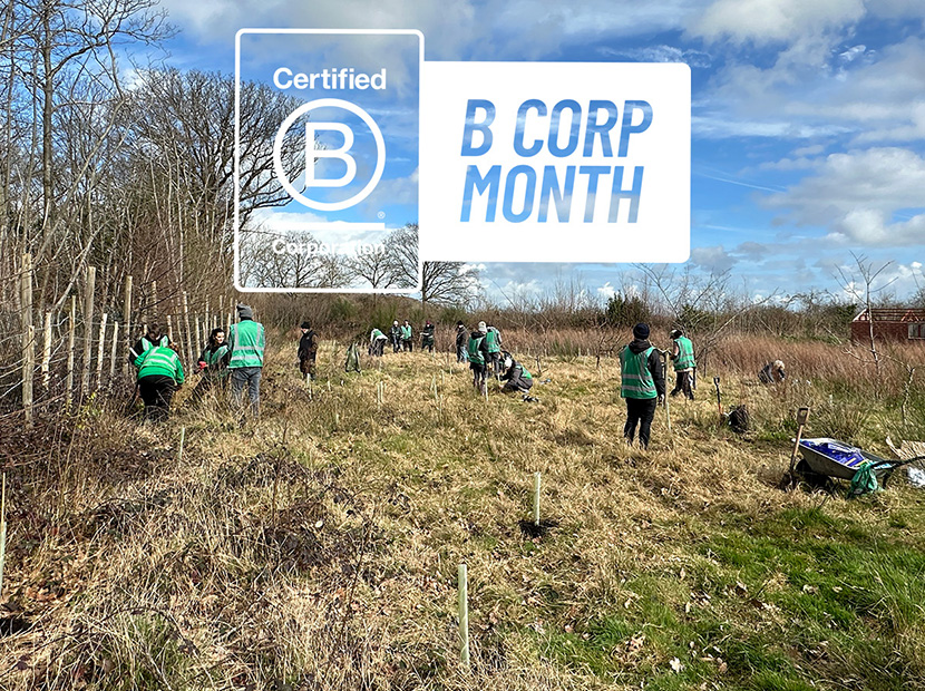 B Corp Month 2024